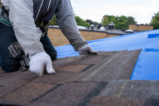 Quick and Trustworthy Emergency Roof Repair Services in Bloomington, MN